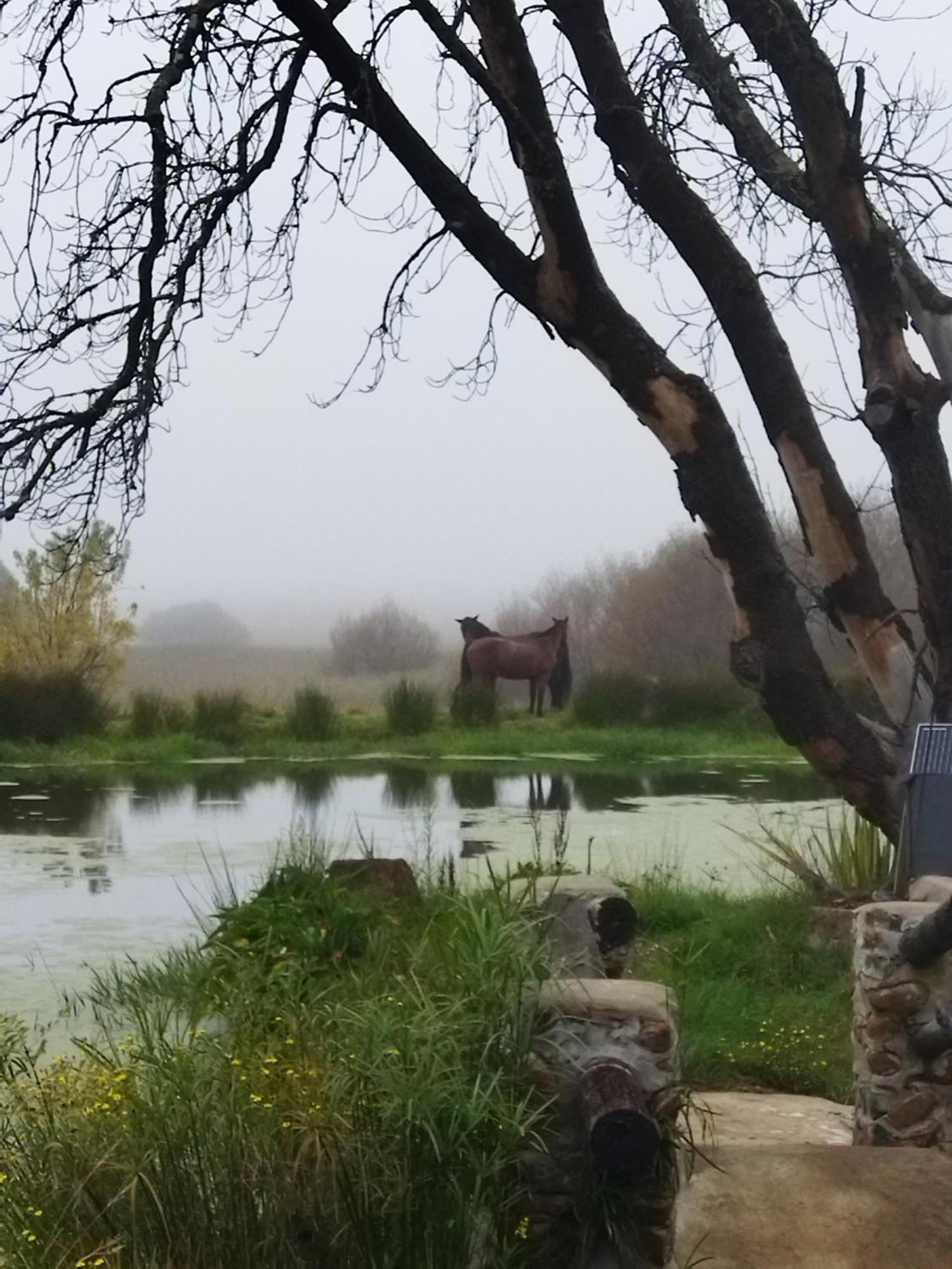 Flitwick Ranch Swartberg Exterior foto
